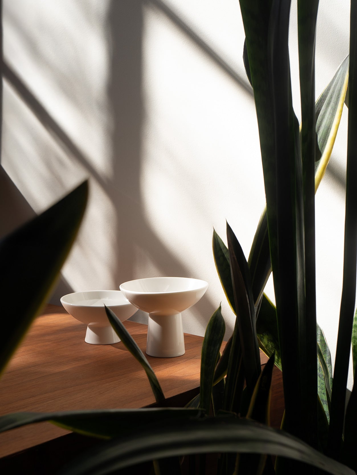 Duomo elevated porcelain cat food and water bowls styled in home interior