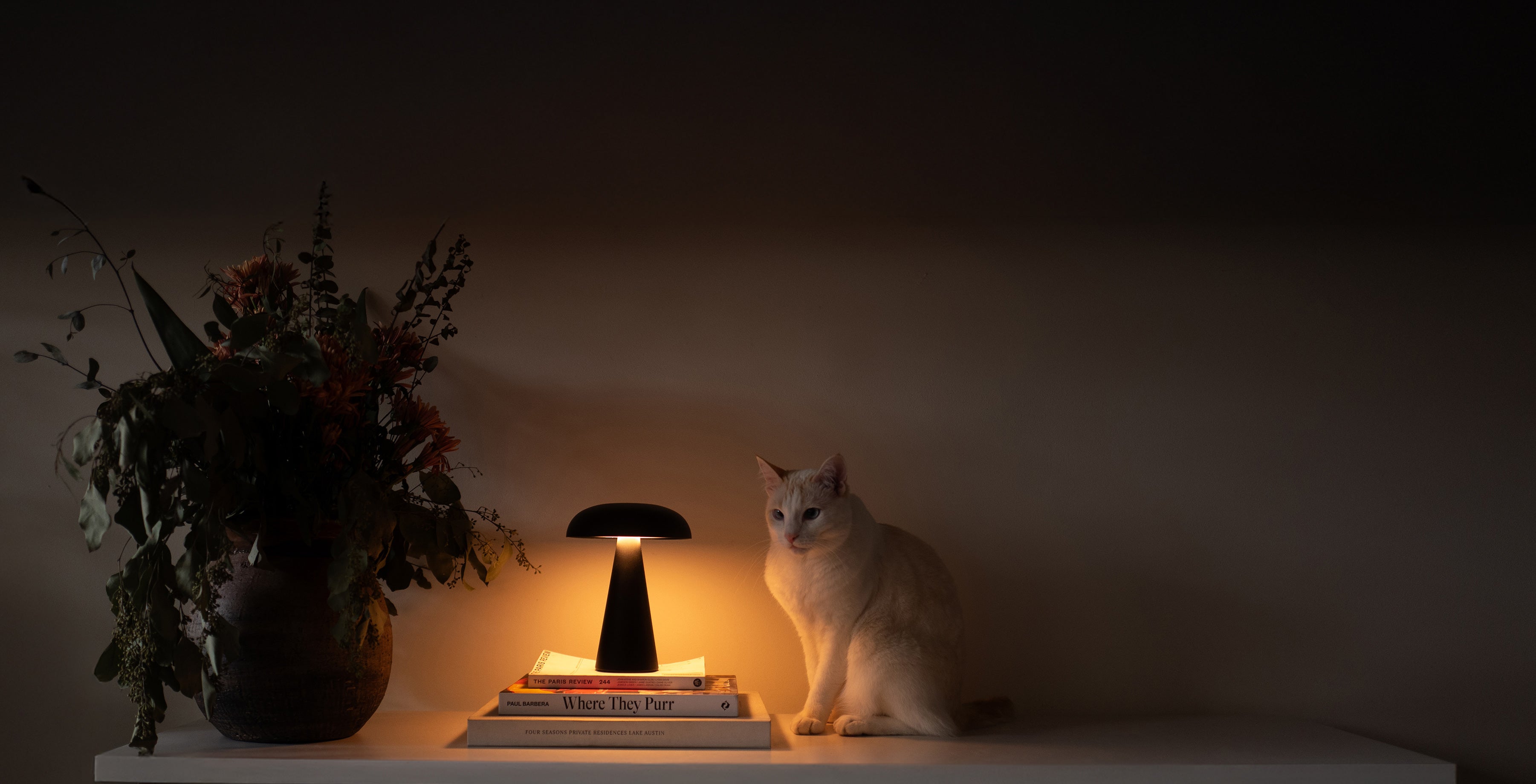 Reverie portable lamp on books beside cat in cozy interior