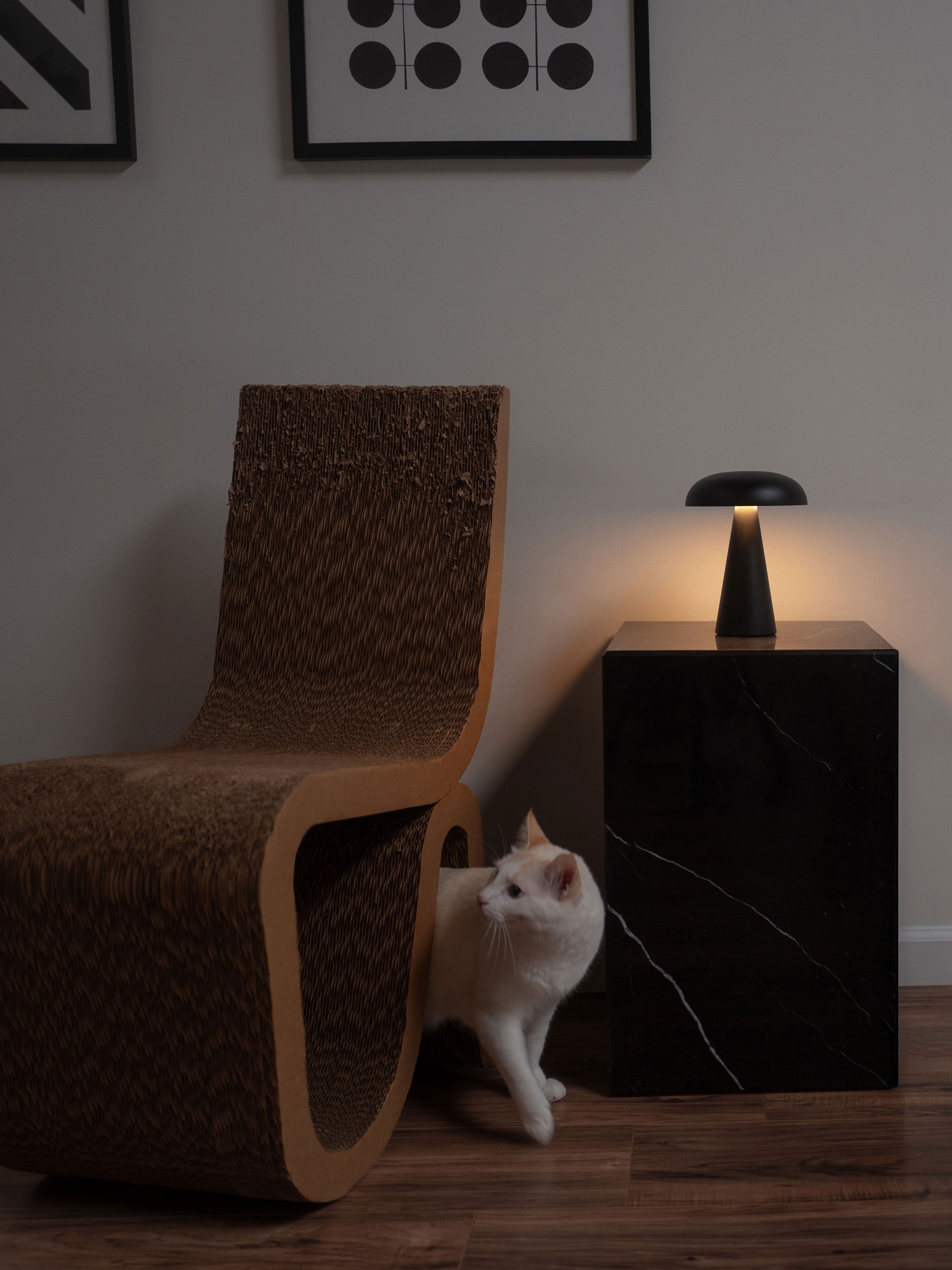 Cat next to Rumi modern cat furniture scratching chair in home interior