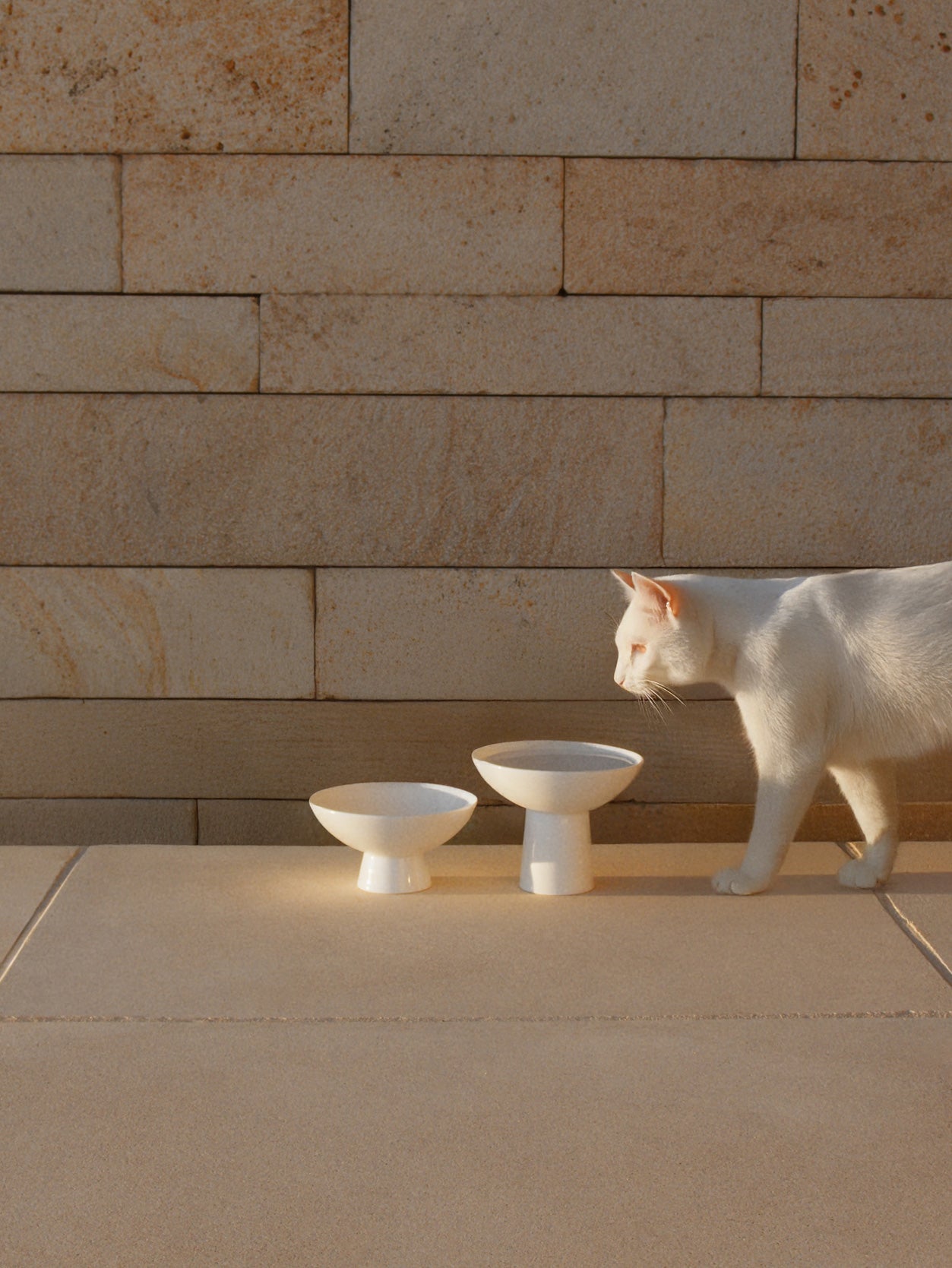 Cat eating from Duomo elevated porcelain cat bowls in modern interior